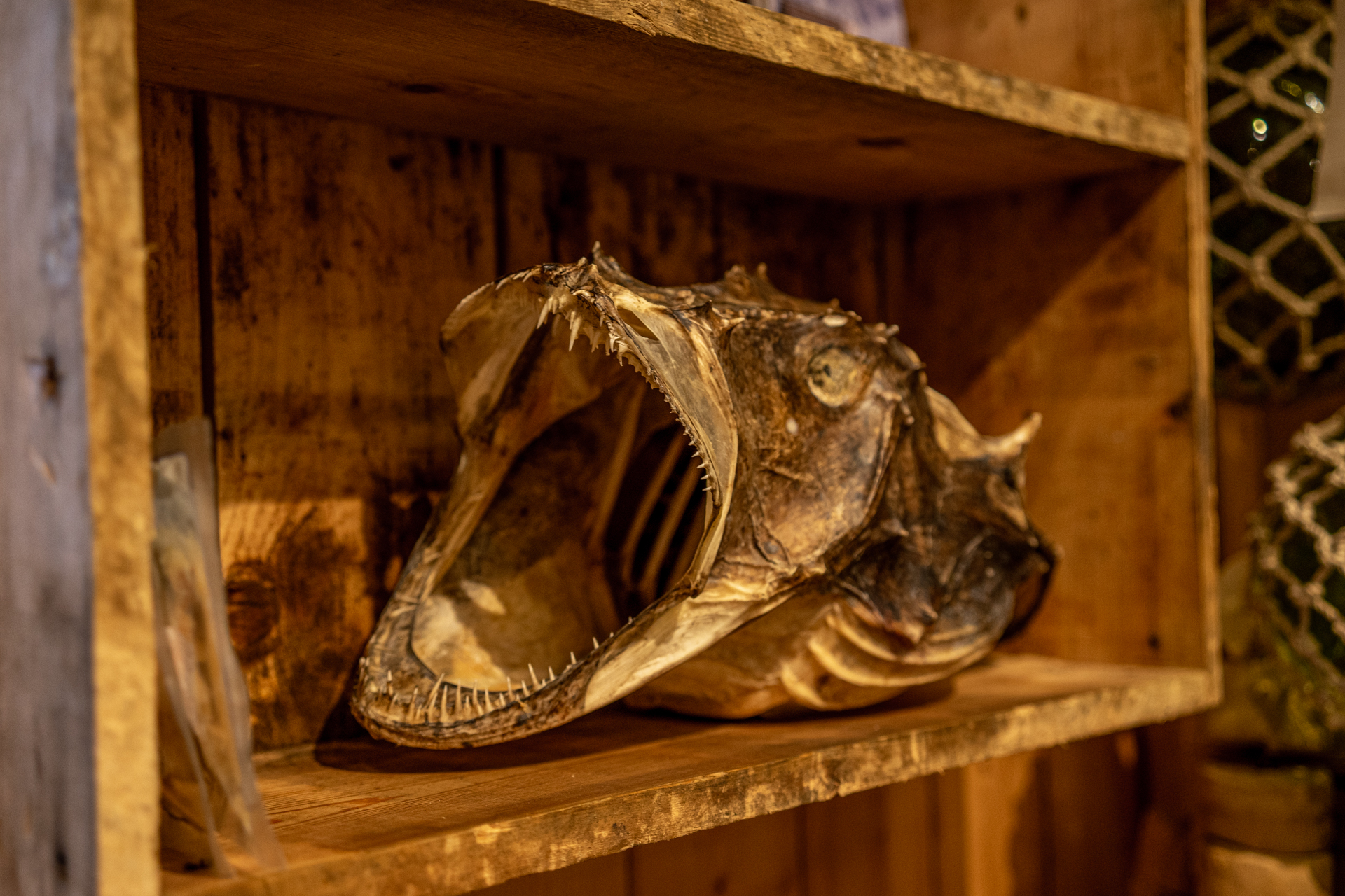 fotograf hochzeit trauung hochrhein fotoworkshop