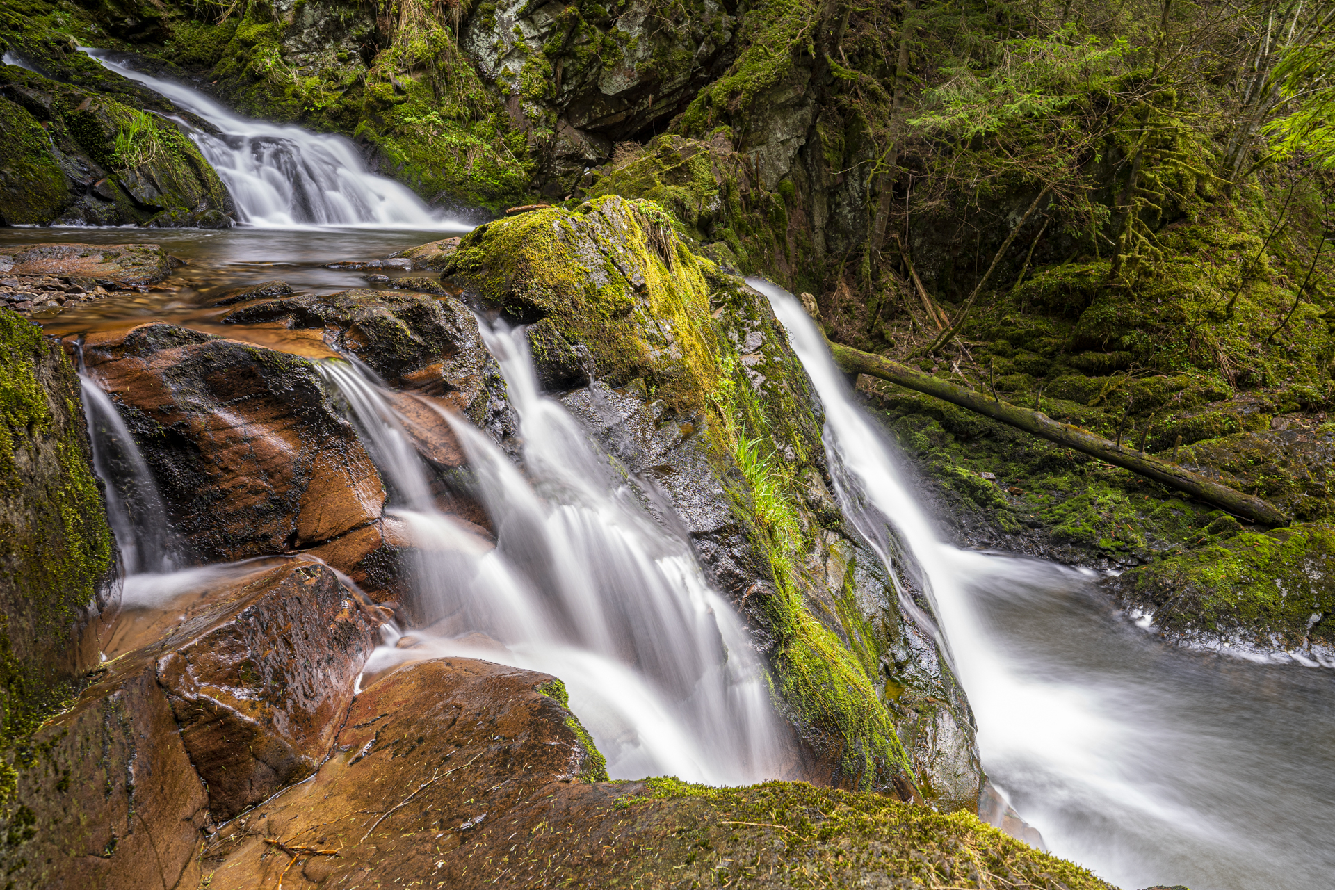 fotograf hochzeit firmenevents Fotograf Rheinfelden