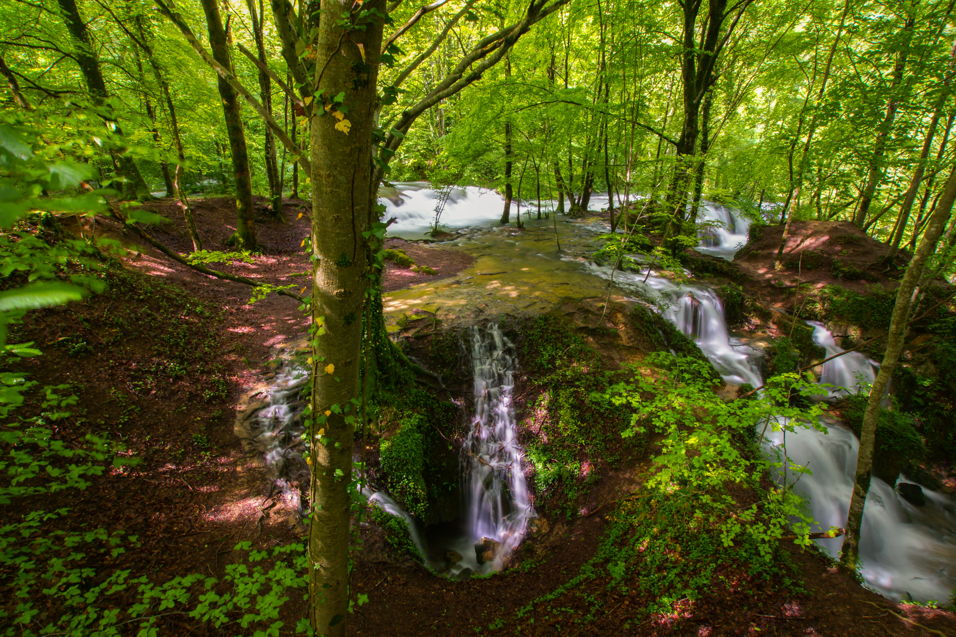fotograf trauung hochrhein familienfeiern konzerte